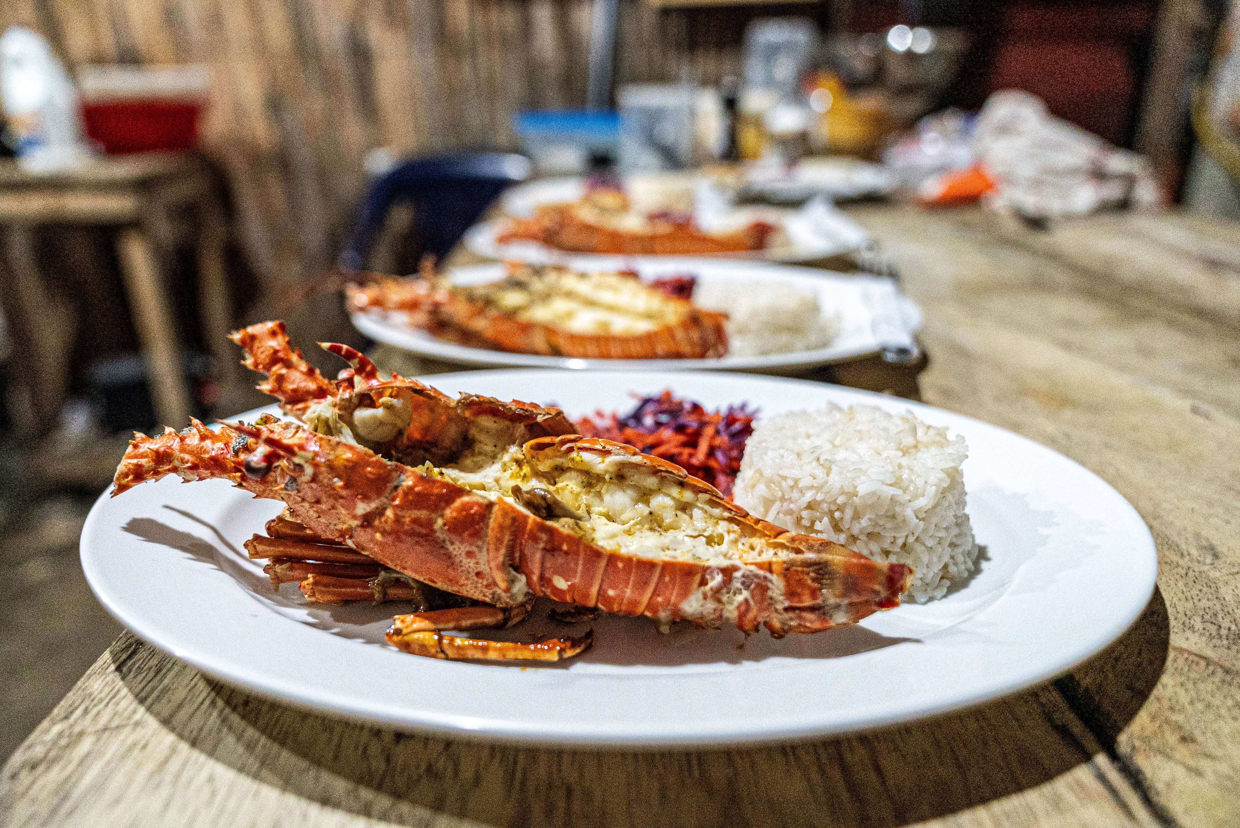 tawi-kite-cabo-de-la-vela-colombia-kitesurf-kiteboard-wing-foil-eco-lodge-la-guajira-school prices kite classes rentals IKO levels